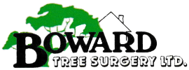 Boward Tree Surgery Ltd Tree Surgeon Uxbridge 